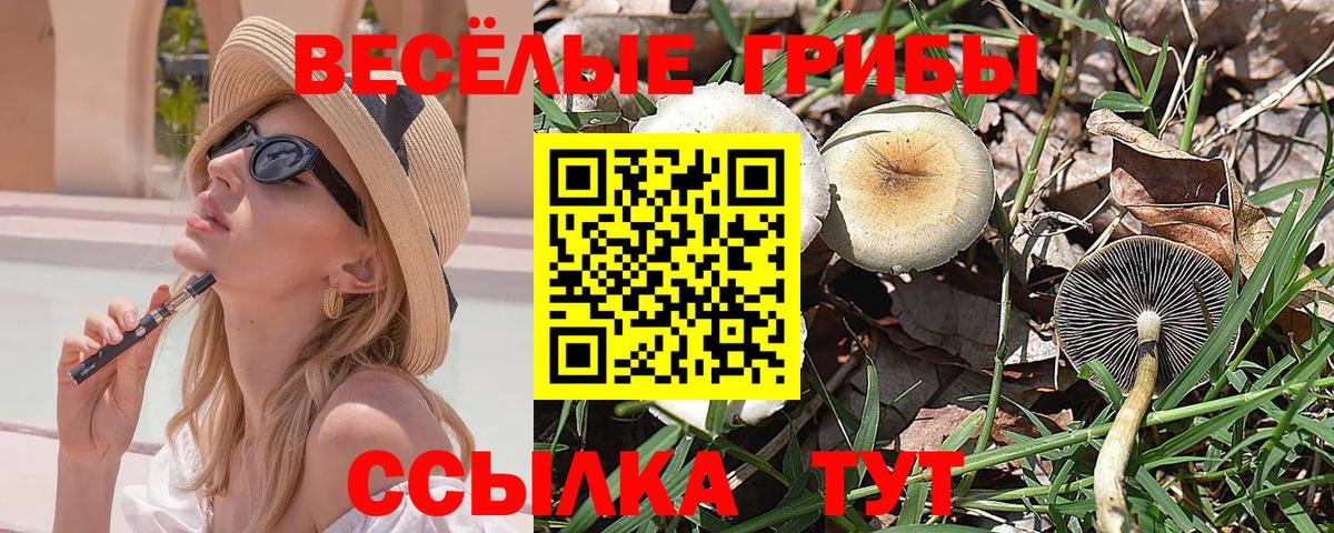 Галлюциногенные грибы MAGIC MUSHROOMS  купить  сайты  Лобня  Вход с VPN 