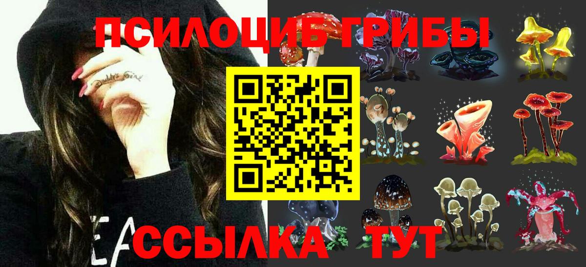 Псилоцибиновые грибы мицелий Лобня
